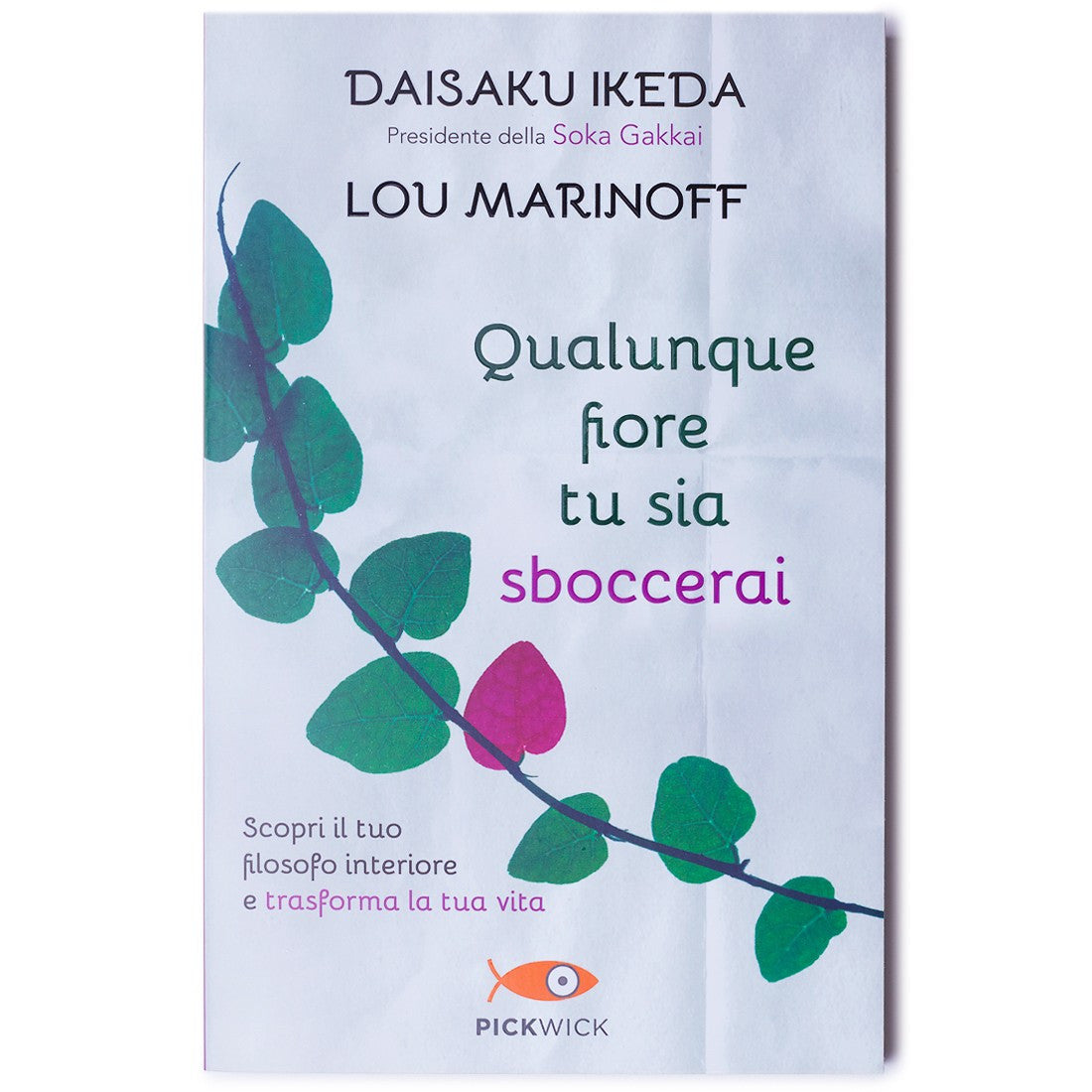 Qualunque fiore tu sia sboccerai