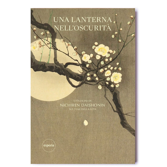 Una lanterna nell'oscurità