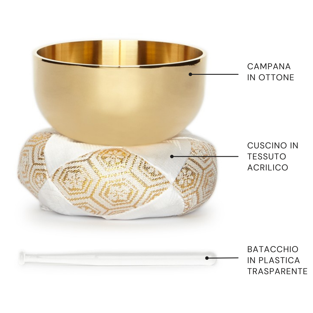 Set Campana 2.3