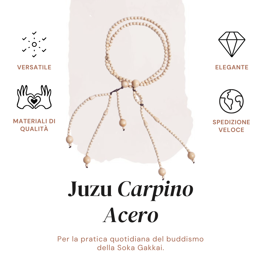 Juzu Carpino Acero