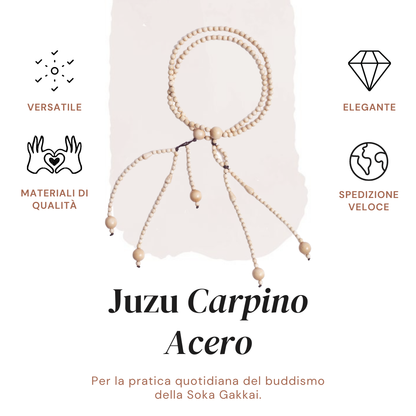 Juzu Carpino Acero
