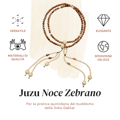 Juzu Noce Zebrano